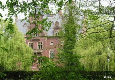 Click to view full size image